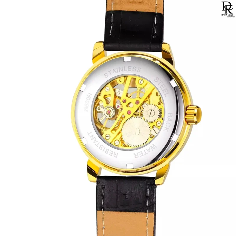 T-Winner original watch Pakistan, T-Winner skeleton watch, automatic skeleton dial men’s watch, T-Winner leather strap watch, T-Winner transparent back watch, T-Winner new round model 2025, T-Winner men’s collection watch price in Pakistan
